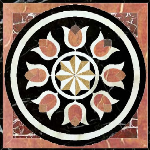 Tulip Coin.ifanview Tulip Coin.ifanview